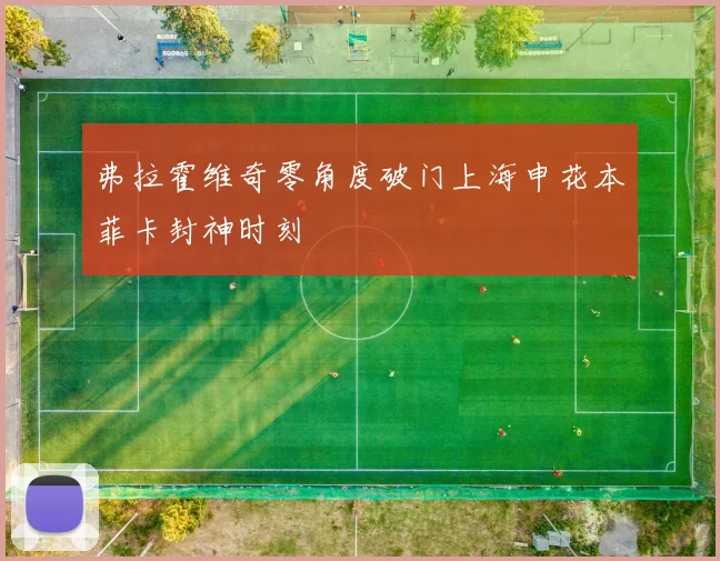 弗拉霍维奇零角度破门上海申花本菲卡封神时刻