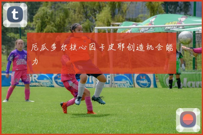 厄瓜多尔核心因卡皮耶创造机会能力