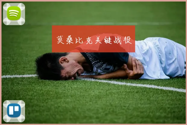 莫桑比克关键战役