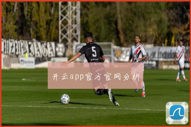 开云app官方官网分析