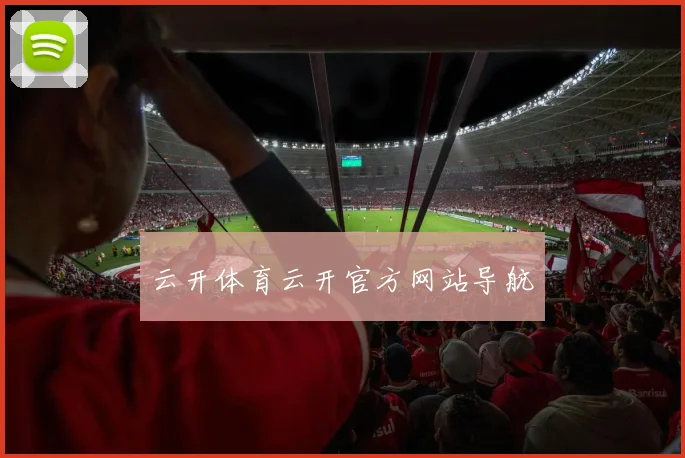 云开体育云开官方网站导航