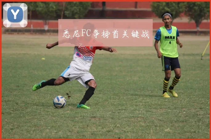 悉尼FC争榜首关键战