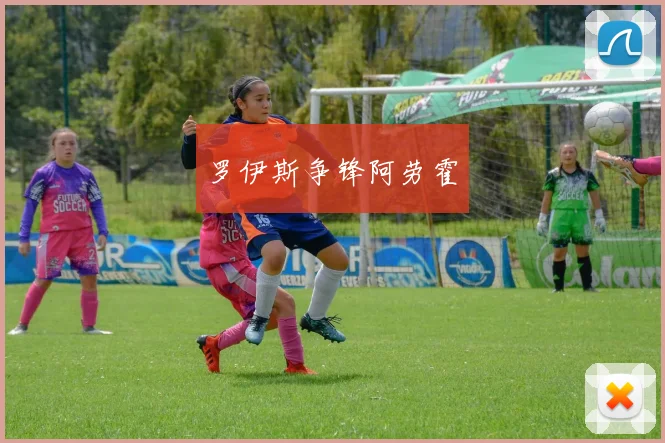 罗伊斯争锋阿劳霍