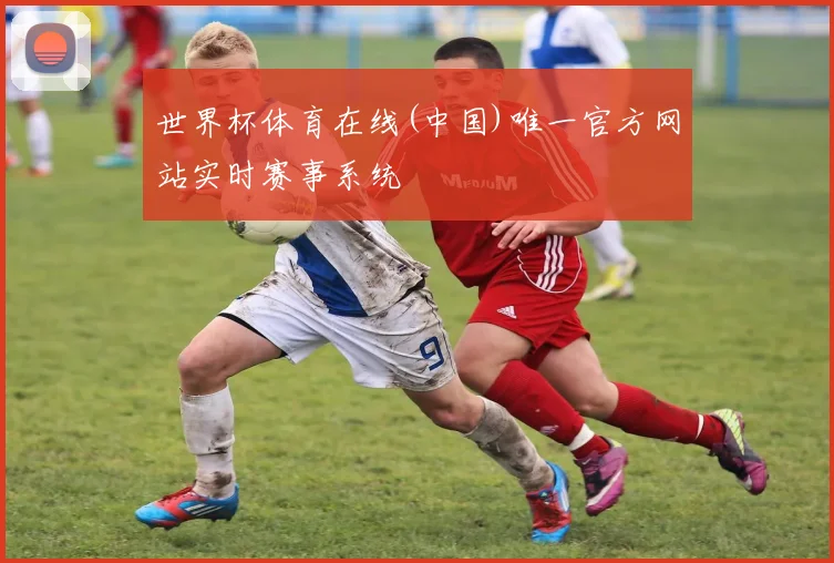 世界杯体育在线(中国)唯一官方网站实时赛事系统