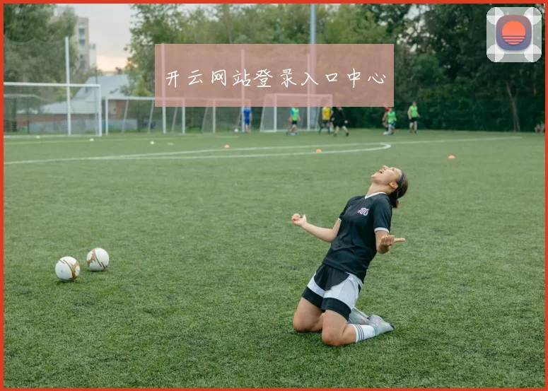 开云网站登录入口中心