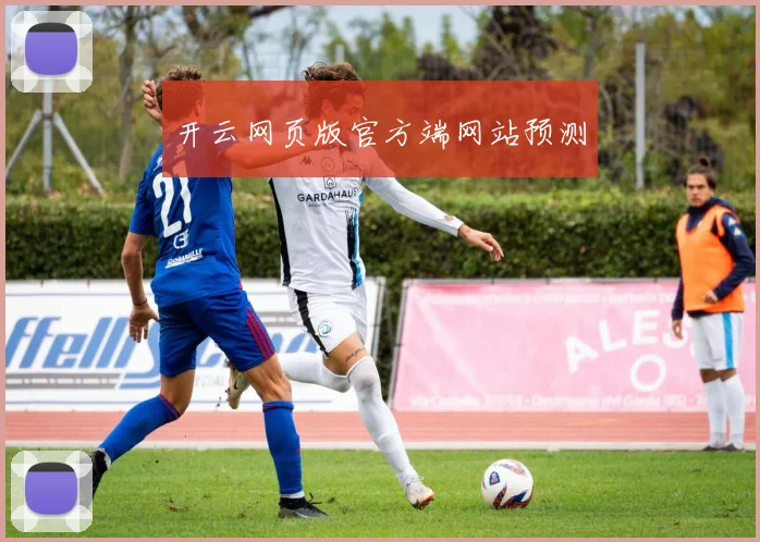 开云网页版官方端网站预测