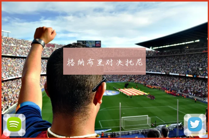 格纳布里对决托尼
