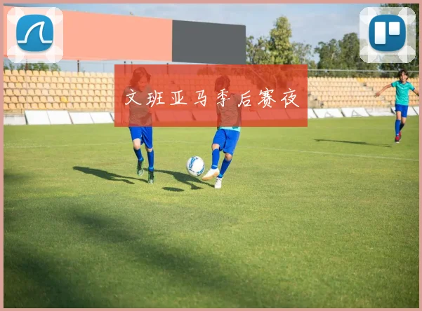 文班亚马季后赛夜