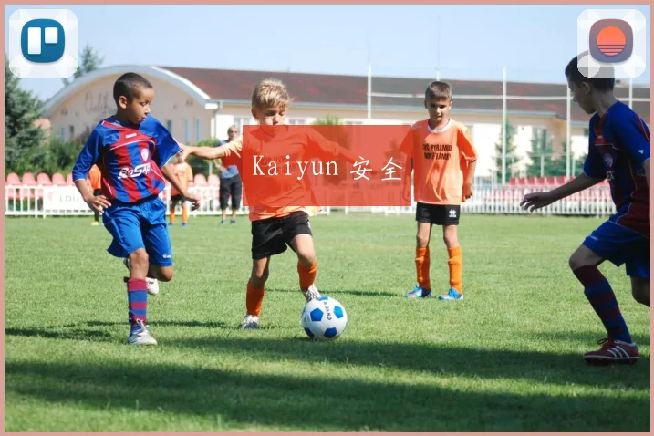 Kaiyun 安全