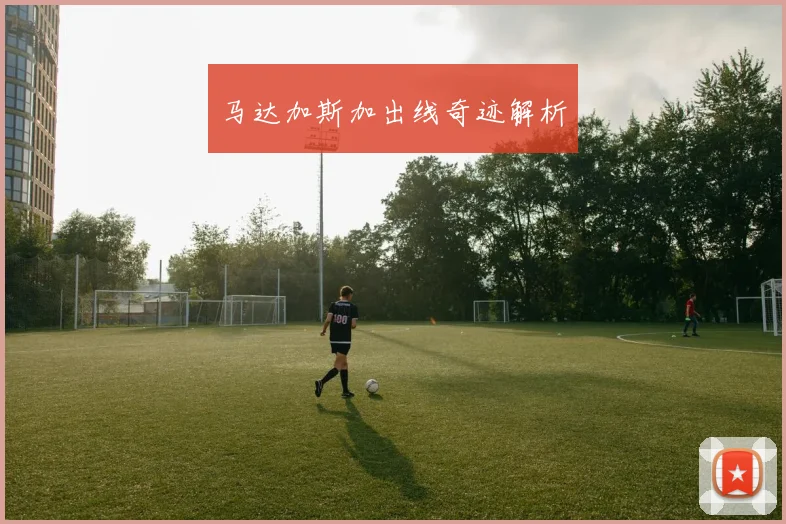 马达加斯加出线奇迹解析
