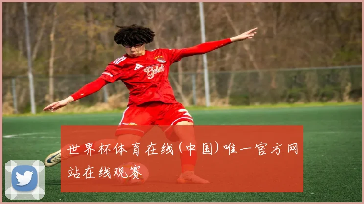 世界杯体育在线(中国)唯一官方网站在线观赛