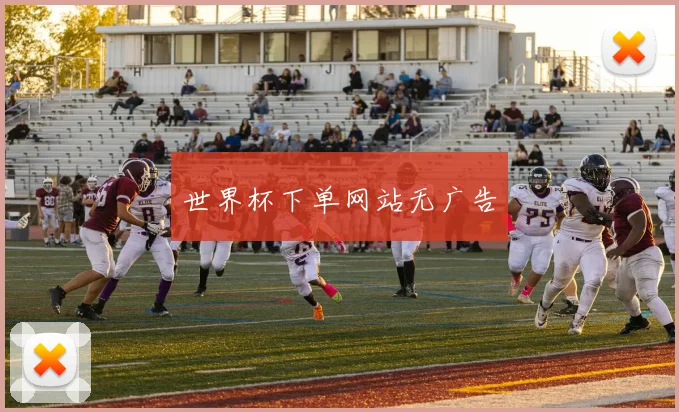 世界杯下单网站无广告