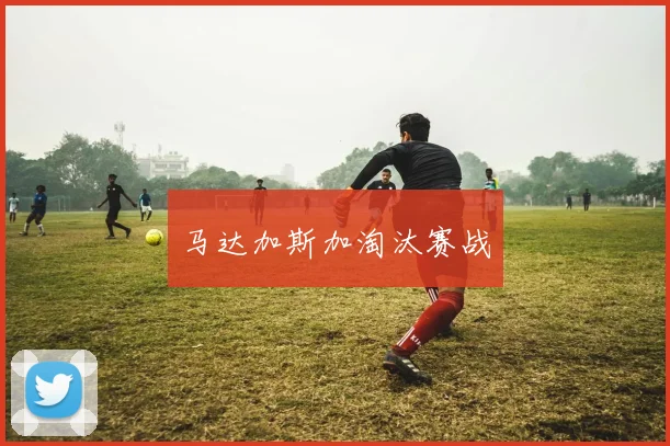 马达加斯加淘汰赛战