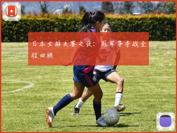 日本女排决赛之夜：冠军争夺战全程回顾