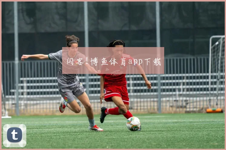 闪客!博鱼体育app下载