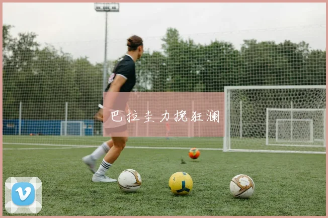 巴拉圭力挽狂澜