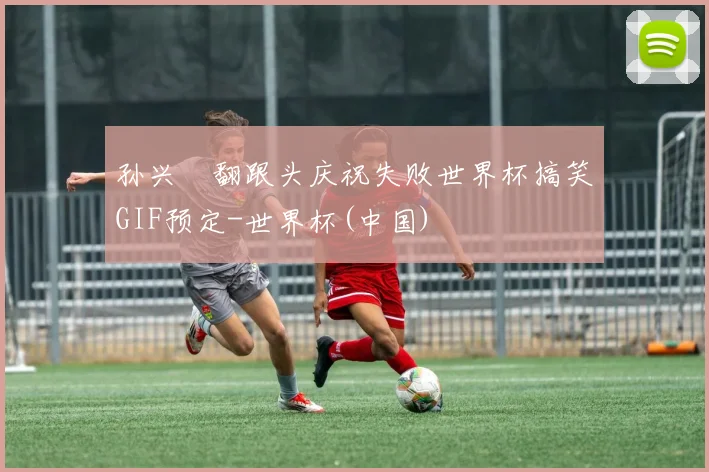 孙兴慜翻跟头庆祝失败世界杯搞笑GIF预定-世界杯(中国)