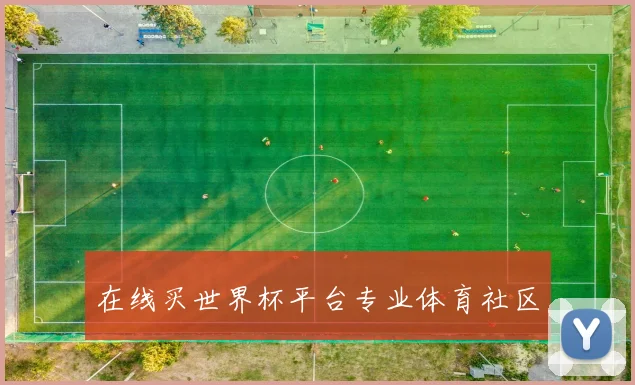 在线买世界杯平台专业体育社区