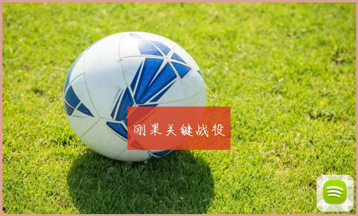 刚果关键战役