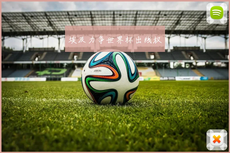 埃及力争世界杯出线权
