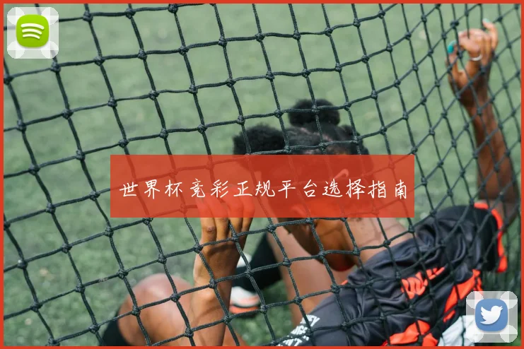 世界杯竞彩正规平台选择指南