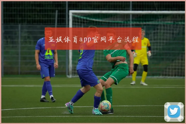 亚娱体育app官网平台流程