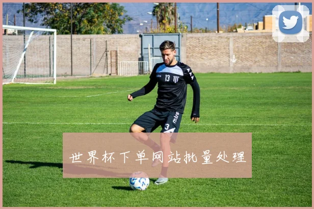 世界杯下单网站批量处理