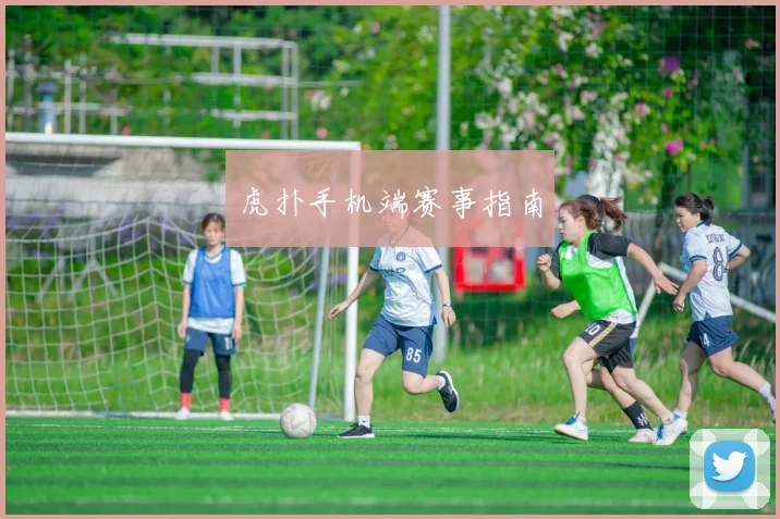 虎扑手机端赛事指南