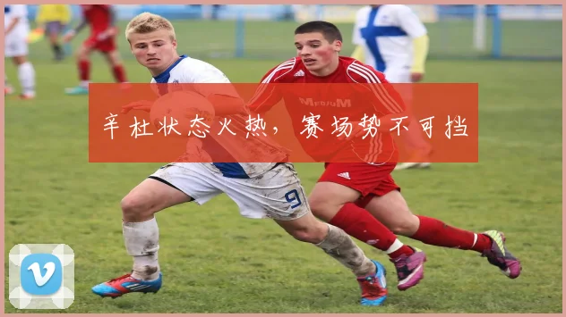 辛杜状态火热，赛场势不可挡