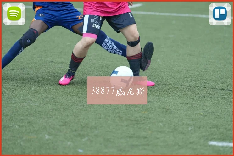 38877威尼斯