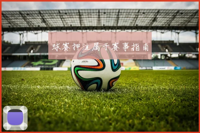 球赛押注属于赛事指南