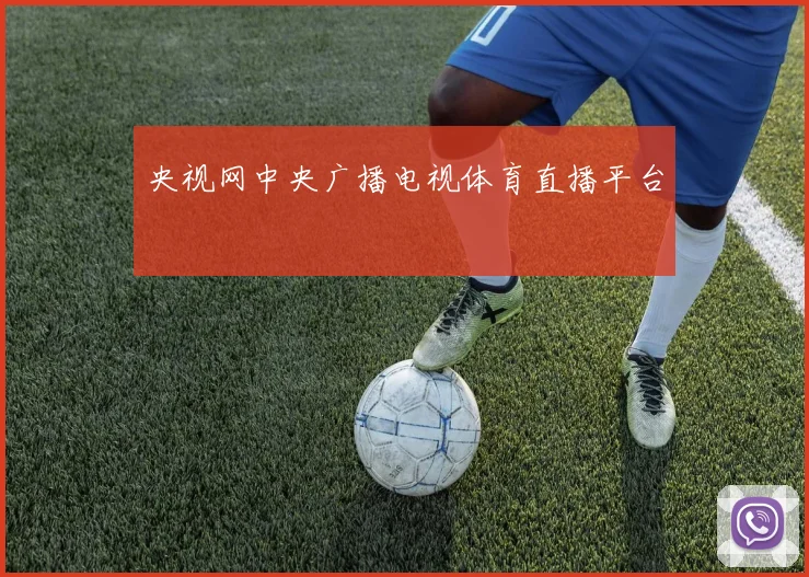 央视网中央广播电视体育直播平台