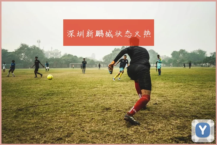 深圳新鹏城状态火热