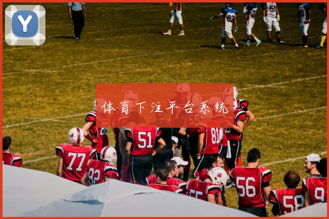 体育下注平台系统