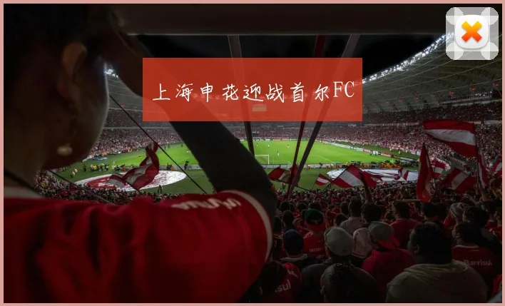 上海申花迎战首尔FC