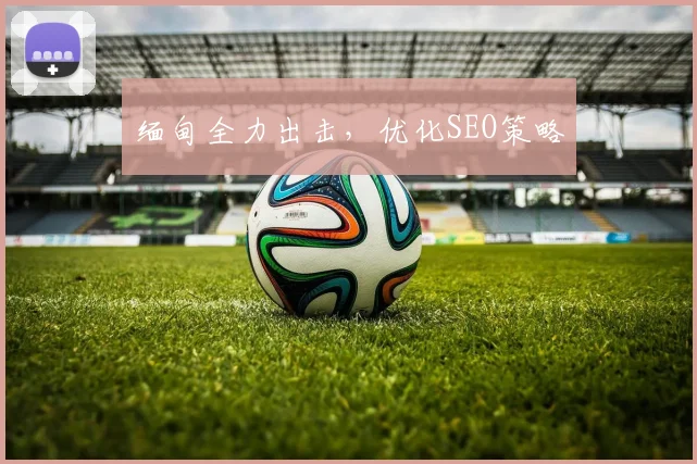 缅甸全力出击，优化SEO策略