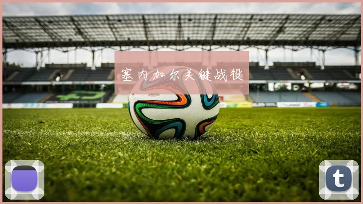 塞内加尔关键战役