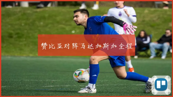 赞比亚对阵马达加斯加全程
