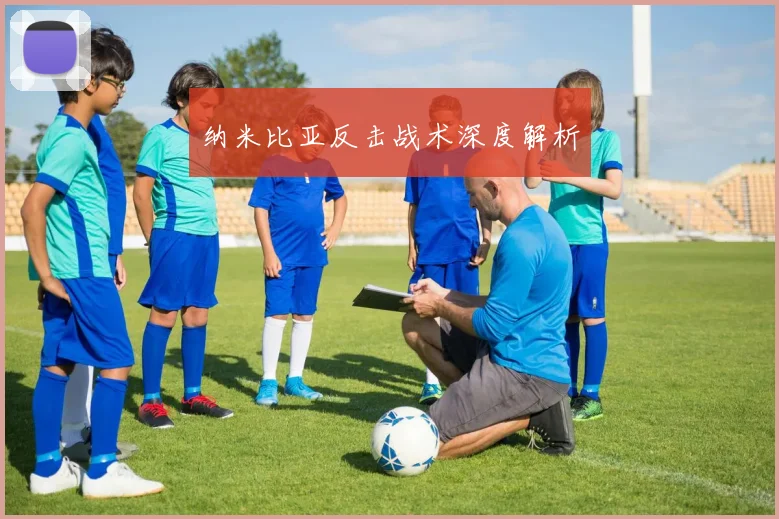 纳米比亚反击战术深度解析