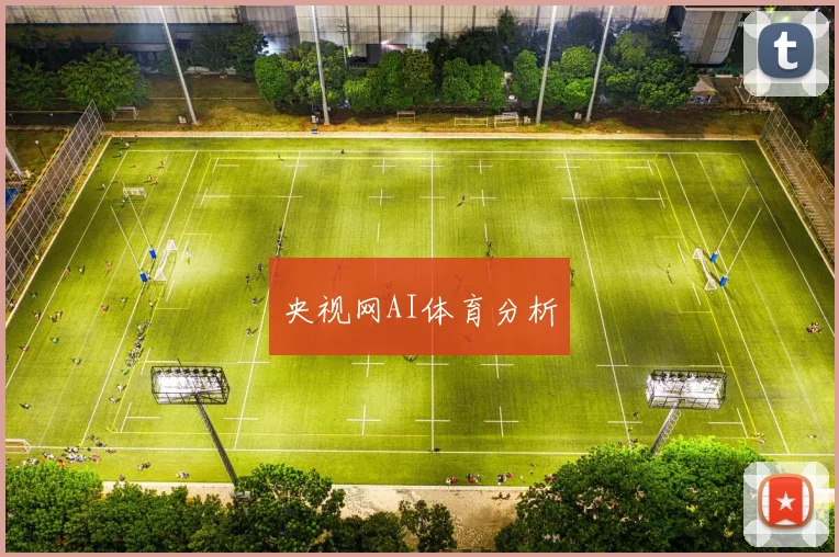 央视网AI体育分析
