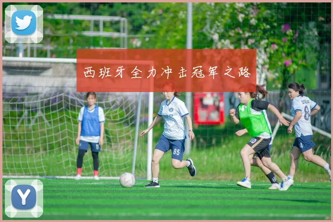 西班牙全力冲击冠军之路