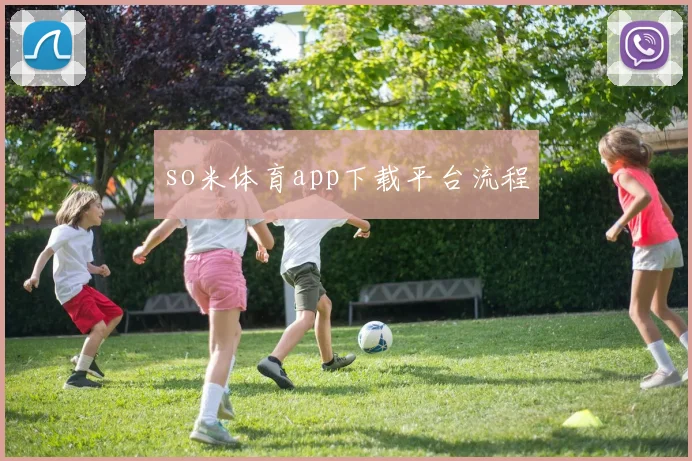 so米体育app下载平台流程