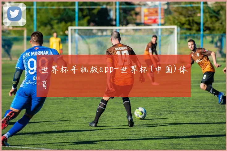 世界杯手机版app-世界杯(中国)体育