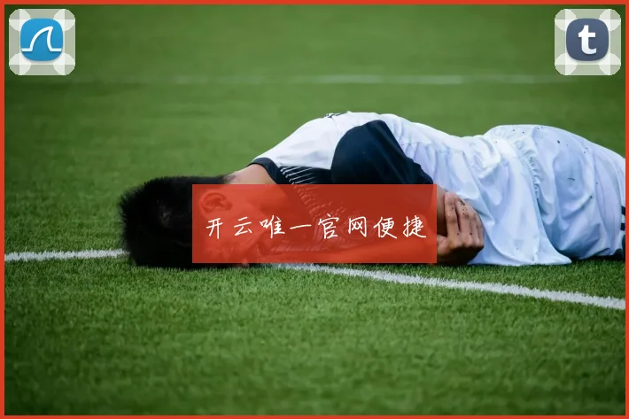开云唯一官网便捷