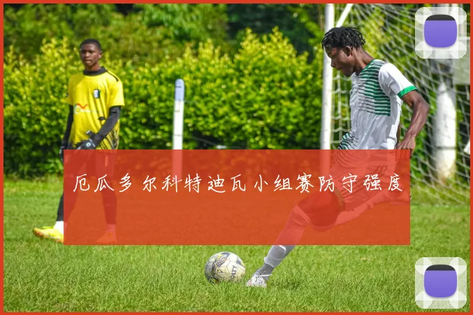 厄瓜多尔科特迪瓦小组赛防守强度