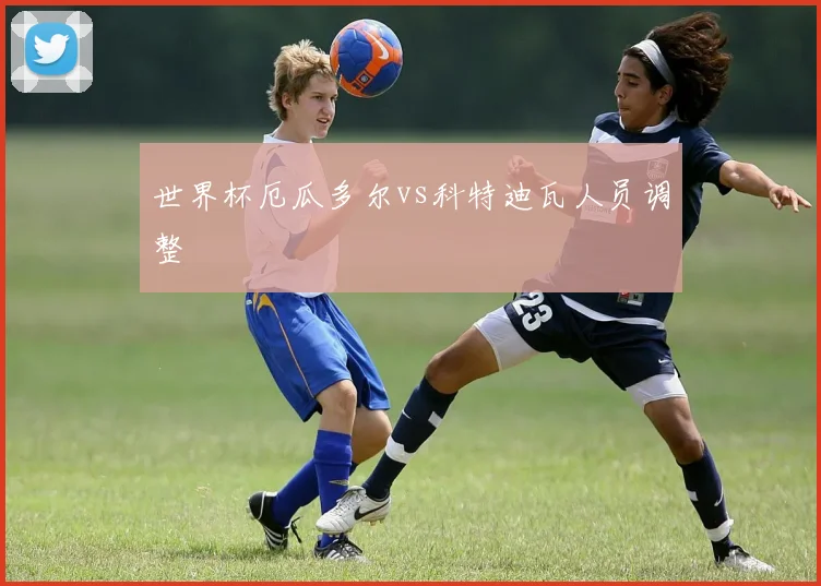 世界杯厄瓜多尔vs科特迪瓦人员调整