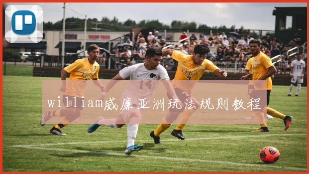 william威廉亚洲玩法规则教程