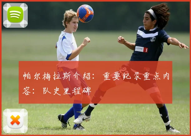 帕尔梅拉斯介绍:重要纪录重点内容:队史里程碑