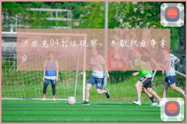 沙尔克04打法观察,冬歇积分争拿分