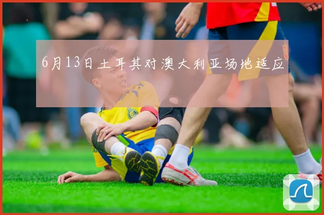 6月13日土耳其对澳大利亚场地适应